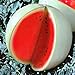 photo Seeds4planting - Seeds Watermelon Snow White Giant Heirloom Fruits Non GMO 2023-2022