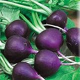 photo: You can buy Seeds Radish Purple Rare 20 Days Vegetable for Planting Non GMO online, best price $8.99 new 2024-2023 bestseller, review