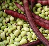 photo: You can buy David's Garden Seeds Southern Pea (Cowpea) Pinkeye Top Pick 9786 (Purple) 100 Non-GMO, Open Pollinated Seeds online, best price $4.45 new 2024-2023 bestseller, review