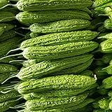 photo: You can buy 50 Pcs Non-GMO Bitter Gourd Seeds Bitter Melon Seeds Bitter Squash Seeds Balsam Pear online, best price $17.89 new 2024-2023 bestseller, review