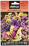 foto: comprar Semillas de Flores - Statice Sinuata variado - Batlle on-line, mejor precio 1,88 € nuevo 2024-2023 éxito de ventas, revisión