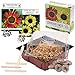 foto Set de cultivo de girasoles - juego de plantación de mini-invernadero, semillas y tierra - idea de regalo (Eclipse + Amarillo lima) 2024-2023