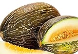 photo: You can buy 50 Piel de Sapo Melon Seeds | Non-GMO | Heirloom | Fresh Garden Seeds online, best price $6.95 new 2024-2023 bestseller, review