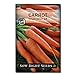 photo Sow Right Seeds - Imperator 58 Carrot Seed for Planting - Non-GMO Heirloom Packet with Instructions to Plant a Home Vegetable Garden, Great Gardening Gift (1) 2022-2021