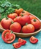 photo: You can buy Burpee Early Girl Tomato Seeds 50 seeds online, best price $7.37 ($0.15 / Count) new 2024-2023 bestseller, review