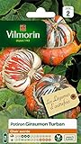 foto: comprar VILMORIN Potiron Giraumon Turban on-line, mejor precio 9,75 € nuevo 2024-2023 éxito de ventas, revisión