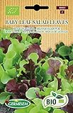 foto: comprar Germisem Orgánica Baby Leaf Salad Leaves Semillas de Lechuga 2 g on-line, mejor precio 3,99 € nuevo 2024-2023 éxito de ventas, revisión