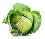 photo: You can buy Brunswick Cabbage Seeds, 300 Heirloom Seeds Per Packet, Non GMO Seeds, Botanical Name: Brassica oleracea, Isla's Garden Seeds online, best price $5.69 ($0.02 / Count) new 2024-2023 bestseller, review