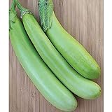 photo: You can buy Lousiana Long Green Eggplant Seeds (30+ Seed Package) online, best price $4.19 new 2024-2023 bestseller, review