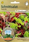 foto: jetzt Schnittsalat Fitness Mix Saatband für Balkon & Terrasse bunt schmackhaft vitaminreich 43020 Salat Online, bester Preis 2,65 € neu 2024-2023 Bestseller, Rezension