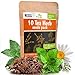 photo 10 Herbal and Medical Tea Seeds Pack - Heirloom and Non GMO, Grown in USA - Indoor or Outdoor Garden - Chamomile, Lavender, Mint, Lemon Balm, Catnip, Peppermint, Anise, Coneflower Echinacea & More 2024-2023