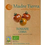 foto: comprar Madre Tierra - Semillas Ecologicas de Tomate Cebra -( Licopersicum Sculentum) Origen Alicante- España - Semillas Especiales - 1.5 gramos on-line, mejor precio 9,73 € nuevo 2024-2023 éxito de ventas, revisión