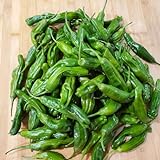 photo: You can buy Shishito Pepper 70 Seeds, Japanese Heirloom Peppers , Shishitōgarashi , Non-GMO Japanese Wrinkled Pepper, 꽈리고추 online, best price $7.75 ($0.11 / Count) new 2024-2023 bestseller, review