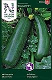 foto: jetzt Zucchini Samen für Gemüsegarten - Nelson Garden Saatgut - Zucchini Diamant F1 (15 Stück) (Zucchini, Diamant F1, Einzelpackung) Online, bester Preis 4,95 € neu 2024-2023 Bestseller, Rezension