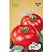 foto Germisem Orgánica ACE 55 VF Semillas de Tomate 0.5 g (ECBIO8019) 2024-2023