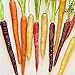 foto Gemüsesamensorten - 800Pcs nahrhafte gemischte Regenbogen Karottensamen Einfach wachsen Gemüse Garten Pflanze Kinder Anfänger Gärtner Geschenk -1 # 2022-2021