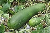 photo: You can buy 20 Organic Huge Chinese Asian Winter Melon Seeds Wax Gourd - Seed from Year 2021 USA online, best price $7.98 new 2024-2023 bestseller, review