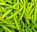 photo: You can buy 25 Contender Bush Bean Seeds | Non-GMO | Fresh Garden Seeds online, best price $5.95 ($0.24 / Count) new 2024-2023 bestseller, review