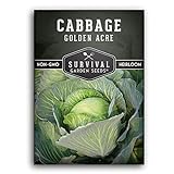 photo: You can buy Survival Garden Seeds - Golden Acres Green Cabbage Seed for Planting - Packet with Instructions to Plant and Grow Yellow-White Cabbages in Your Home Vegetable Garden - Non-GMO Heirloom Variety online, best price $4.99 new 2024-2023 bestseller, review