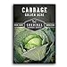 photo Survival Garden Seeds - Golden Acres Green Cabbage Seed for Planting - Packet with Instructions to Plant and Grow Yellow-White Cabbages in Your Home Vegetable Garden - Non-GMO Heirloom Variety 2023-2022