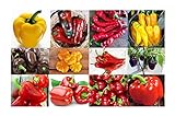 photo: You can buy Harley Seeds This is A Mix!!! 30+ Sweet Pepper Mix Seeds, 12 Varieties Heirloom Non-GMO, Pimento, Purple Beauty, from USA, green online, best price $5.49 ($2.74 / Gram) new 2024-2023 bestseller, review