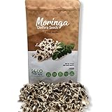 photo: You can buy Organic Moringa Seeds | 1000 Seeds Approx.| Premium Quality | PKM1 Variety | Edible | Planting | Moringa Oleifera| Malunggay | Semillas De Moringa | Drumstick Tree | Non-GMO | Product from India online, best price $20.99 ($0.02 / Count) new 2024-2023 bestseller, review