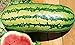 photo 25 Garrisonian Watermelon Seeds | Non-GMO | Heirloom | Instant Latch Fresh Garden Seeds 2022-2021