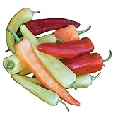 photo: You can buy Burpee Sweet Banana Sweet Pepper Seeds 150 seeds online, best price $6.74 ($0.04 / Count) new 2024-2023 bestseller, review