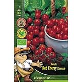 foto: comprar Semillas ecológicas de Tomate Red Cherry on-line, mejor precio 4,42 € nuevo 2024-2023 éxito de ventas, revisión