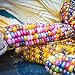 foto Masoke SemillaCasa - Raras Semillas de Palomitas de Maíz Colorido Dulce Harina de Maíz Mazorcas de Maíz Semillas de Verduras Semillas de Maíz (50 Pcs) 2024-2023