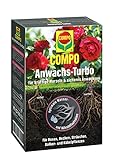 foto: jetzt COMPO Anwachs-Turbo, Hochwirksames Bewurzelungshilfsmittel, 0,7 kg Online, bester Preis 10,05 € (14,36 € / kg) neu 2024-2023 Bestseller, Rezension
