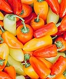photo: You can buy Lunchbox Sweet Peppers 50 Seeds Garden Fresh Vegetables Healthy Planting online, best price $7.99 ($0.16 / Count) new 2024-2023 bestseller, review