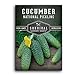 photo Survival Garden Seeds - National Pickling Cucumber Seed for Planting - Packet with Instructions to Plant and Grow Cucumis Sativus in Your Home Vegetable Garden - Non-GMO Heirloom Variety 2024-2023