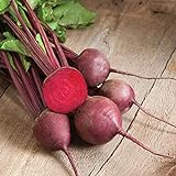 photo: You can buy David's Garden Seeds Beet Red Ace 1239 (Red) 200 Non-GMO, Hybrid Seeds online, best price $3.95 new 2024-2023 bestseller, review