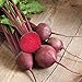 photo David's Garden Seeds Beet Red Ace 1239 (Red) 200 Non-GMO, Hybrid Seeds 2024-2023