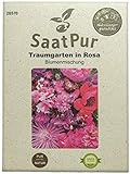foto: jetzt SaatPur Sommerblumenmischung Traumgarten in Rosa Samen Saatgut Blumenmischung Mix Online, bester Preis 3,99 € neu 2022-2021 Bestseller, Rezension