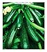 foto Semillas de calabacín híbrido diamant - vegetales - cucurbita pepo - zi015 - las mejores semillas de plantas - flores - frutas raras - idea de regalo - calabacines - aproximadamente 75 semillas - a 2024-2023