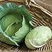 photo David's Garden Seeds Cabbage Tendersweet 9983 (Green) 50 Non-GMO, Hybrid Seeds 2024-2023