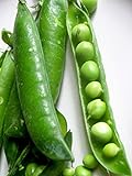 photo: You can buy Pea Little Marvel Great Heirloom Vegetable 1,200 Seeds by Seed Kingdom online, best price $11.95 new 2024-2023 bestseller, review