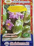photo: You can buy Golden Mountain Thai Round Eggplant Seeds online, best price $6.99 new 2024-2023 bestseller, review