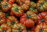 foto: comprar Portal Cool 100 Semillas: Las semillas de tomate Raf, Variedad Tamano Grande, Viejo tomate de la herencia española, Andalucía on-line, mejor precio 4,99 € nuevo 2024-2023 éxito de ventas, revisión