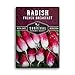 photo Survival Garden Seeds - French Breakfast Radish Seed for Planting - Pack with Instructions to Plant and Grow Long Radishes to Eat in Your Home Vegetable Garden - Non-GMO Heirloom Variety 2024-2023