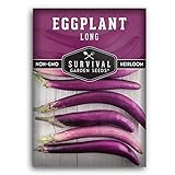photo: You can buy Survival Garden Seeds - Long Purple Eggplant Seed for Planting - Packet with Instructions to Plant and Grow Skinny Italian Aubergines in Your Home Vegetable Garden - Non-GMO Heirloom Variety online, best price $4.99 new 2024-2023 bestseller, review