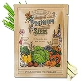 photo: You can buy Lemon Grass Seeds for Planting Outdoor - 250 Mg Packet - Non-GMO, Heirloom Culinary Herb Garden Lemongrass Seeds - Cymbopogon citratus online, best price $4.98 ($0.57 / Ounce) new 2024-2023 bestseller, review