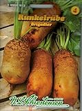 foto: jetzt Runkelrübe 'Brigadier' orangefarbig, wertvolle und leistungsstarke Futterpflanze , Futterrübe Online, bester Preis 3,99 € (159,60 € / kg) neu 2024-2023 Bestseller, Rezension