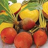 photo: You can buy Golden Detroit Beet Seeds (25 Seeds) online, best price $4.13 ($0.17 / Count) new 2024-2023 bestseller, review
