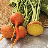 photo: You can buy David's Garden Seeds Beet Boldor 3122 (Yellow) 200 Non-GMO, Open Pollinated Seeds online, best price $3.95 new 2024-2023 bestseller, review