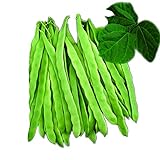 photo: You can buy Park Seed Algarve French Climbing Bean Seeds, Pack of 100 Seeds online, best price $9.99 ($0.10 / Count) new 2024-2023 bestseller, review