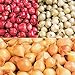 photo Red,Yellow,White or Mix Onion Sets (40 bulbs) Garden Vegetable(Red) 2022-2021