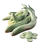 photo: You can buy Burpee Armenian Cucumber Seeds 100 seeds online, best price $7.00 new 2024-2023 bestseller, review